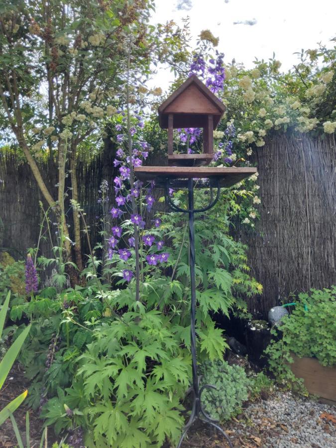 The Empty Nest Hotel Geraldine Luaran gambar